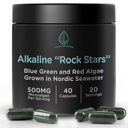 Alkaline Rock Stars Blue Green & Red Algae Supplement - 500mg | Pure Marine Phytoplankton Plus Astaxanthin | Rich in Antioxidants, Chlorophyll, & Vegan Omega 3's | 30 Day Supply (40 Capsules)