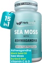 Herbtonics Sea Moss, Black Seed Oil, Ashwagandha, Burdock Root & ACV Complex 