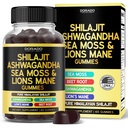Shilajit Gummies with Sea Moss, Ashwagandha & Lions Mane - (Shilajit Supplement for Men & Women, Energy & Immunity Support ) Third Party Tested, Vegan Safe, NON GMO & Made in USA (60 Gummies)