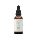 HerbEra Garlic B60 Alcohol-Free Herbal Extract Tincture, Concentrated Liquid Drops Natural Garlic Dried Powder (2 fl oz)