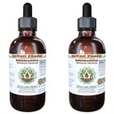 Hawaii Pharm Rehmannia Alcohol-Free Liquid Extract, Professional Grade, Small Batch Crafted Rehmannia (Rehmania Glutinosa) Dried Root Glycerite Natural Herbal Supplement, 2x2 fl.oz