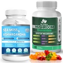 BIO VITALICA Sea Moss Ashwagandha Gummies & Mushroom Gummies (Bundle)