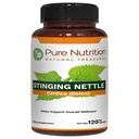 Pure Nutrition Stinging Nettle 20:1 Extract, 500mg per Caps | 120 Veg Caps | 4 Months Supply | Once Daily
