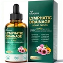 VivoNu 21-in-1 Liposomal Lymphatic Drainage Drops – Advanced Herbal Detox & Immune Booster with Echinacea, Burdock Root, Elderberry & Seaweed Extract – 6000mg High Potency, 2 fl oz