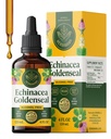 HERBAMAMA Echinacea Goldenseal Tincture - Vegan Immune & Respiratory Support with Echinacea and Goldenseal Root Extract - Non-GMO, Alcohol & Sugar-Free Supplement, 56-Day Supply