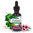 Nature's Answer Echinacea and Goldenseal with Organic Alcohol, 1-Fluid Ounce