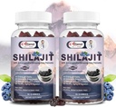 Shilajit Gummies for Men & Women, Shilajit Pure Himalayan Original Multi-Supplement, Shilajit Ashwagandha & High in Trace Minerals & Fulvic Acid for Energy, Strength & Immunity, 60 Serving