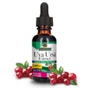 Nature's Answer Uva Ursi Leaf Liquid Drops with Organic Alcohol, 1000mg, 1-Fluid Ounce | Urinary Tract Support | Supports Nephrotic System Function | Vegan, Non-GMO | Single Count