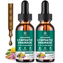 Lymphatic Drainage Drops - 11 in 1 Lymphatic Supplement for Immune, Lymph System & Liver Detox - with Echinacea, Horse Chestnut, Dandelion, Elderberry & Burdock - Raspberry Flavor, Vegan, 2 Fl Oz