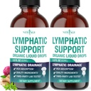 Organic Lymphatic Drainage Drops - All in 1 Organic Lymphatic Drainage Supplement with Burdock Root, Echinacea, Elderberry, Calendula, Cleavers Herb, Dandelion Supports Lymphatic Health - 4 OZ