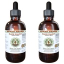 Hawaii Pharm Black Walnut Alcohol-Free Liquid Extract, Black Walnut (Juglans Nigra) Dried Hull Glycerite Natural Herbal Supplement 2x2 oz