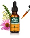 Herb Pharm Daily Immune Builder Herbal Immune System Defense - 1 Ounce