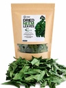 Neem Leaves Whole Naturally Grown Premium Leaf Pure Dry Fresh 3 oz / 85g Neem Tea