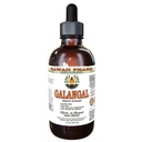 Hawaii Pharm Galangal Root Alcohol-Free Liquid Extract, Galangal (Alpinia Galangal) Dried Root Glycerite Natural Herbal Supplement 2 oz