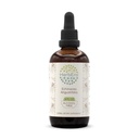 HerbEra Echinacea Angustifolia B120 Alcohol-Free Herbal Extract Tincture, Super-Concentrated Responsibly farmed Echinacea spp. 4 fl oz