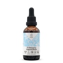 Echinacea Angustifolia Alcohol-Free Natural Tincture Extract, Immune System Booster, Liquid Drops Made from 100% Echinacea (angustifolia) Dried Root (2 fl oz)
