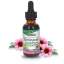 Nature's Answer Echinacea with Organic Alcohol, 1-Fluid Ounce