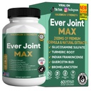 Ever Joint MAX, Joint Support Supplement, Glucosamine, Chondroitin (1)
