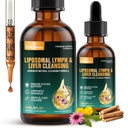 Lymphatic Drainage Supplements for Lymphatic,24-in-1 Lungs & Liver Cleanse Detox Repair | Rich in Echinacea, Artichoke, Burdock Root, Elderberry 2 fl oz