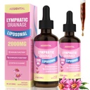 Liposomal Lymphatic Drainage Drops, with Echinacea, Dandelion, Turmeric, Burdock, Elderberry, and Calendula, Supports Lymph System Cleanse & Immune Health, Alcohol & Sugar Free – 4 fl oz