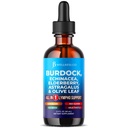 JB Wellness Co Lymphatic Drainage Supplement - Burdock Lymphatic Support Drops - Burdock Root, Mullein, Echinacea, Elderberry, Dandelion, Astragalus, Milk Thistle, Red Clover - 2 oz