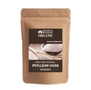 Blessfull Healing Organic Psyllium Husk Powder 100% Pure Natural 100 Gram / 3.52 oz