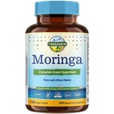 Terranics Moringa Capsules, Pure Moringa Oleifera Leaf Powder, Energy, Skin, Immune Health, Non GMO, No Gluten, Natural Green Superfood Supplement, 120 Vegan Caps