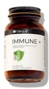 Blisque – Natural Immune Support Supplement for Immune Defense, Boost, and Aid | Doctor-Approved | with Astragalus, Echinacea, and Garlic | 90 Capsules | Vegan and Non-GMO