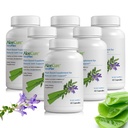AloeCure VeraFlex Natural Joint Support Supplement with USDA Organic Aloe Vera - Joint Support Capsules for Comfort, Mobility and Flexibility - Plant Based Formula for Joints & Mobility, 60 Caps x 6