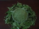 100%Organic Natural Neem powder 1oz, best quality guranteed (oz)