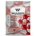 Painless Herbal Transdermal Body Patch with Korean Red Ginseng & Magnesium – 48 Hour Wear – 25 Adhesive Patches