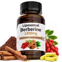 GREENPEOPLE Liposomal Berberine Supplement with Ceylon Cinnamon - Berberine HCL 1300mg 10X High Absorption - AMPK & PPAR Activator for Metabolic & Digestive & Immune Balance - Non-GMO 60 Veg Capsules