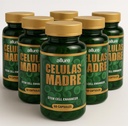 Celulas Madres Stem Cell Enhancer Mother Cell -Madre Cell Plus Bioxcell- AFA Stem Cell Supplements | Boosts Immunity | Reduces Joint Soreness | Spirulina & Chlorella | Celulas Madre 6 Bottles