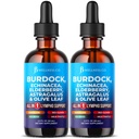 JB Wellness Co Lymphatic Drainage Supplement - Burdock Lymphatic Support Drops - Burdock Root, Mullein, Echinacea, Elderberry, Dandelion, Astragalus, Milk Thistle, Red Clover - 4 oz