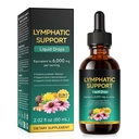 Lymphatic Support Supplements, 21-in-1 Drops, Lymph Drops Supplement for Women & Men with Echinacea, Dandelion, Burdock, Bromelain, Calendula, Turmeric & More, 2.02 FL OZ