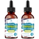 Liposomal Lymphatic Detox & Drainage Drops – 2000mg Herbal Blend with Elderberry & Echinacea – Supports Lymphatic Drainage, Immune System & Detox – 4 FL OZ