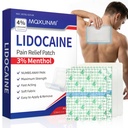 Newly Upgraded Lidocaine Patches, 16 Count Maximum Strength Pain Relief Patches (12 Non-Woven + 4 PU Film), 4% Lidocaine & 3% Menthol for Fast, Targeted Relief of Back, Joint & Muscle Pain