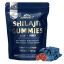 Shilajit Gummies, gummy supplements，shilajit for men gummies，shilajit for women gummies，Seamoss & Turmeric | Zero Sugar Energy, Cortisol Balance, Sleep, Immune & Overall Health Support – 60 Gummies