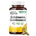Wild & Organic Echinacea Goldenseal Capsules - Immune & Lung Support - Echinacea Complex Supplement - Hydrastis Canadensis & Purpurea - Vegan, No Fillers, Non-GMO - 120 Count