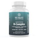 Methylated B-Complex Vitamin Capsules – Activated Coenzymated B-Complex with Methyl B12, Methylfolate & P5P – High-Absorption Methyl B Vitamins – Vegan, Non-GMO – 30 Capsules