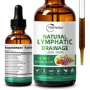 VitaHarbor Lymphatic Drainage Supplements, 12-in-1 Lymphatic Drainage Drops with Echinacea, Burdock, Dandelion, Cleavers, Elderberry, Calendula & More for Lymphatic Support & Immune Support, 2 FL OZ
