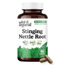 Wild & Organic Stinging Nettle Root Capsules - Urinary Support Supplement for Men & Women - 10:1 Stinging Nettle Root Extract - 90 Vegan Capsules - 90 Days Supply - Gluten-Free, No Fillers