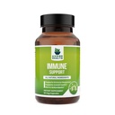 Immunity Support Capsules with Organic ashwagandha to Boost Your Immunity, Natural Amla for Vitamin C -Guduchi for Digestion & Detox - Men Women 60 Organic Capsules