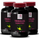 Pure Power Source - TRIBULUS TERRESTRIS EXTRACTS - Natural Energy Surge, Dynamic Strength Support, Active Body Power, Plant-Based Boost, Physical Strength, Daily Muscle Formula 3 Bottles 180 Tablets
