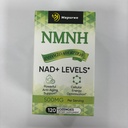 NMNH Supplement