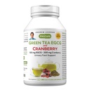 ANDREW LESSMAN Green Tea EGCG & Cranberry 360 Capsules - Standardized for Catechins and Polyphenols. Helps Protect Tissues, Organs and Systems Throughout the Body. Powerful Anti-oxidant Support
