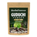 Herbsforever Guduchi Powder | Tinospora Cordifolia | Ayurvedic Herbal Supplement | Natural & Pure | Non-GMO, Vegan | 230 GMS | Traditional Herb for Everyday Wellness