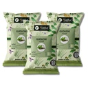 Guduchi Powder 100 gm Pack of 3 Tinospora Cordifolia Botanical Powder Traditional Herbal Preparation Plant Based Product