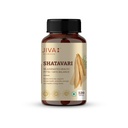 Jiva Ayurveda Shatavari Tablets - 120 Count | Natural Hormonal Balance & Vitality Support for Men & Women | Pure Asparagus Racemosus Root Extract | Adaptogen for Energy, Strength & Immune Health