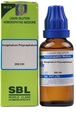 SBL's Gnaphalium Polycephalum 200 Dilution 30 ml